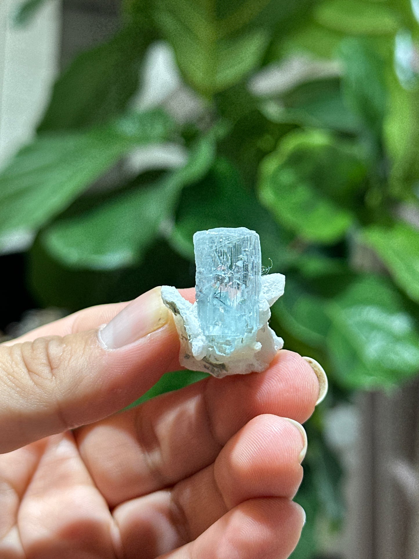 Natural sky Blue Aquamarine on Matrix Specimen from Skardu, Pakistan