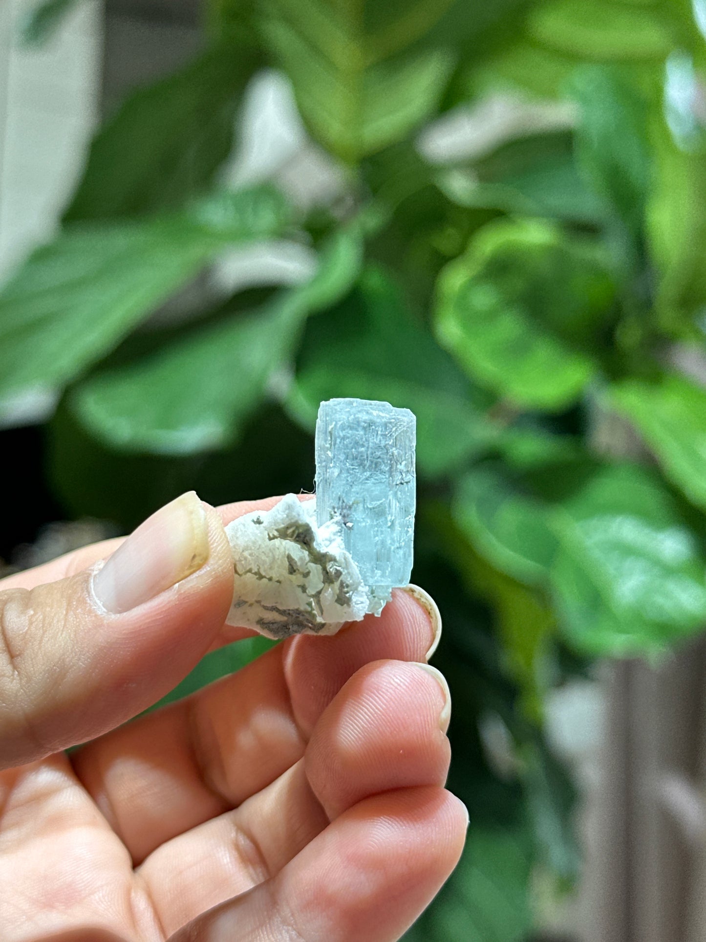 Natural sky Blue Aquamarine on Matrix Specimen from Skardu, Pakistan