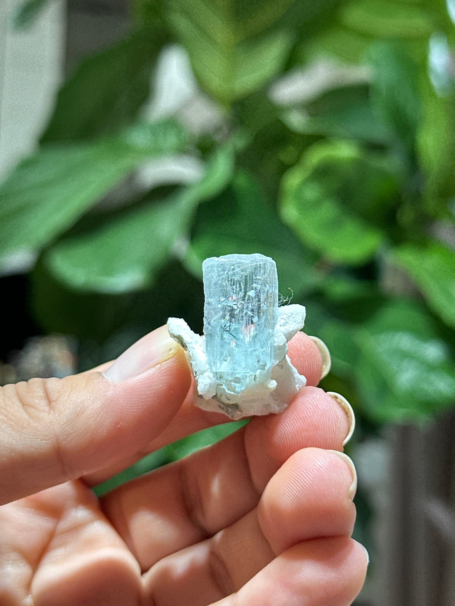 Natural sky Blue Aquamarine on Matrix Specimen from Skardu, Pakistan