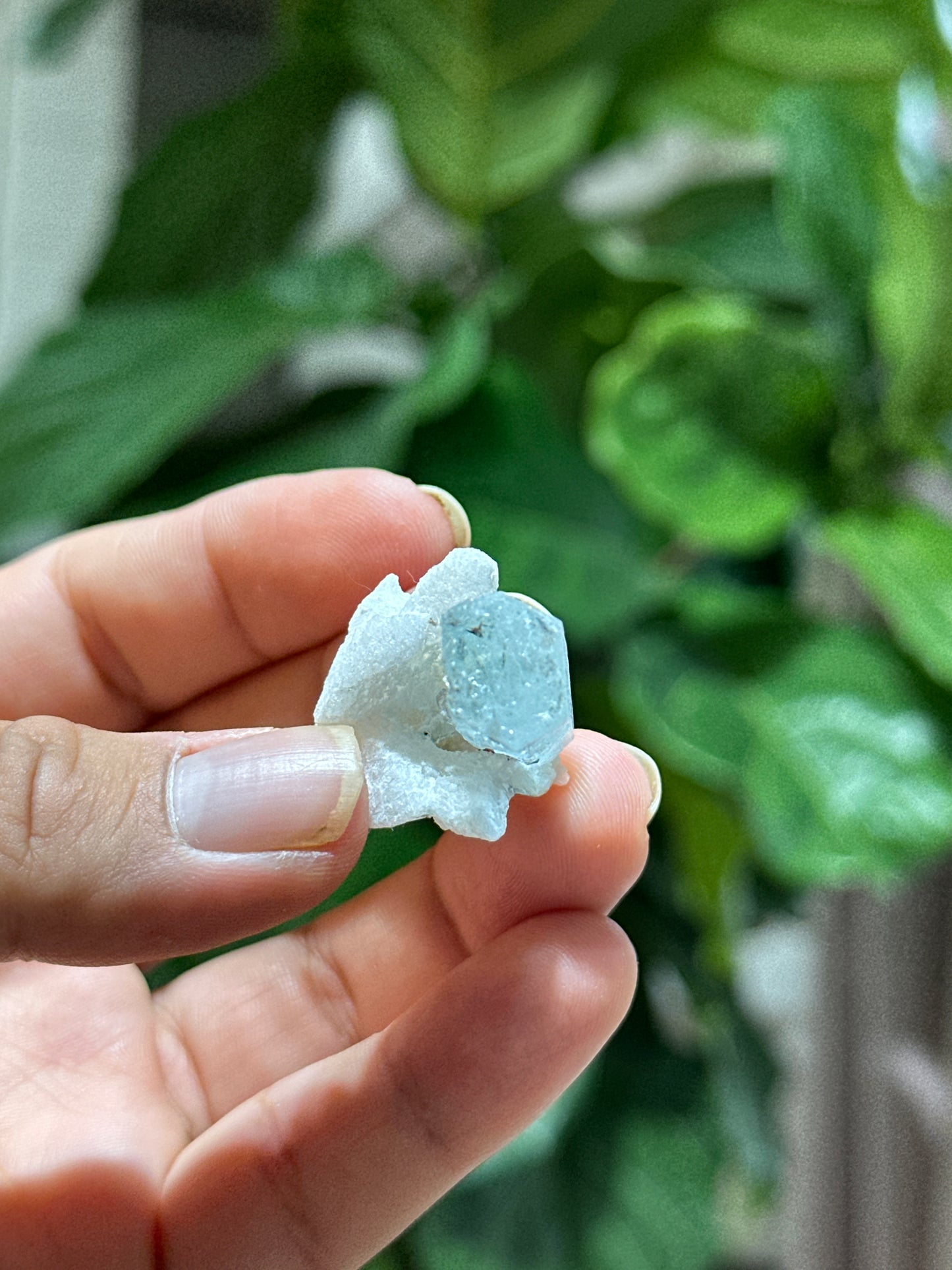 Natural sky Blue Aquamarine on Matrix Specimen from Skardu, Pakistan