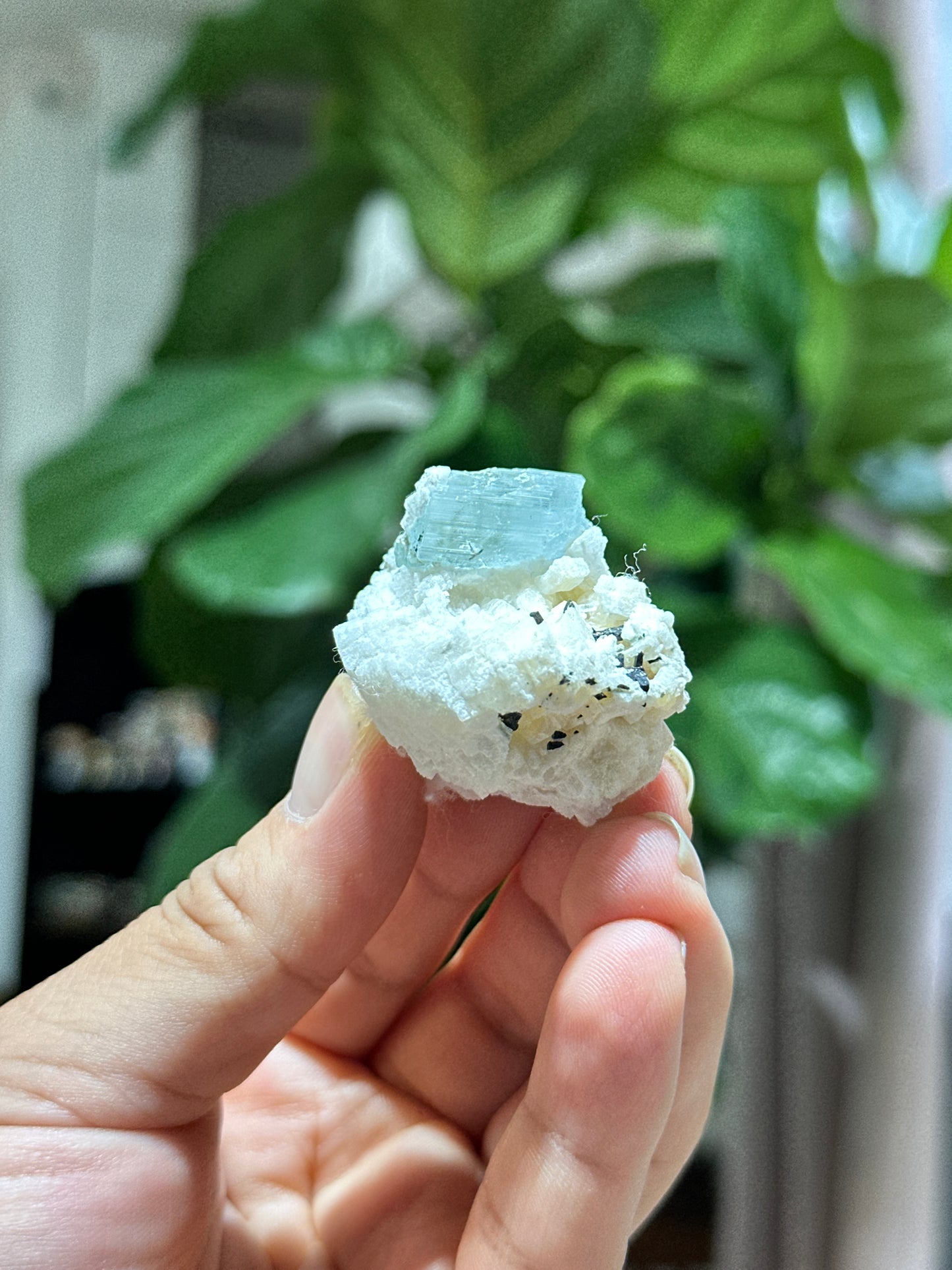 Natural sky Blue Aquamarine on Matrix Specimen from Skardu, Pakistan