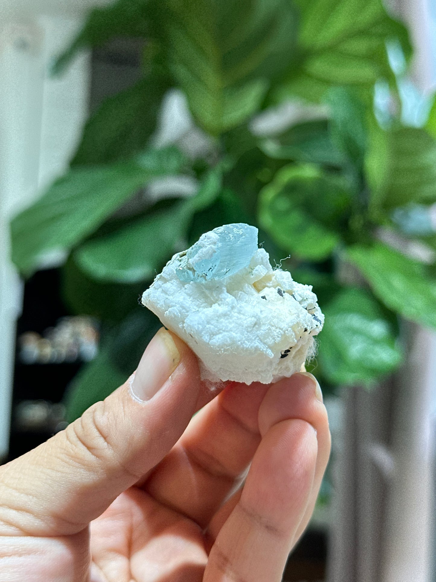 Natural sky Blue Aquamarine on Matrix Specimen from Skardu, Pakistan